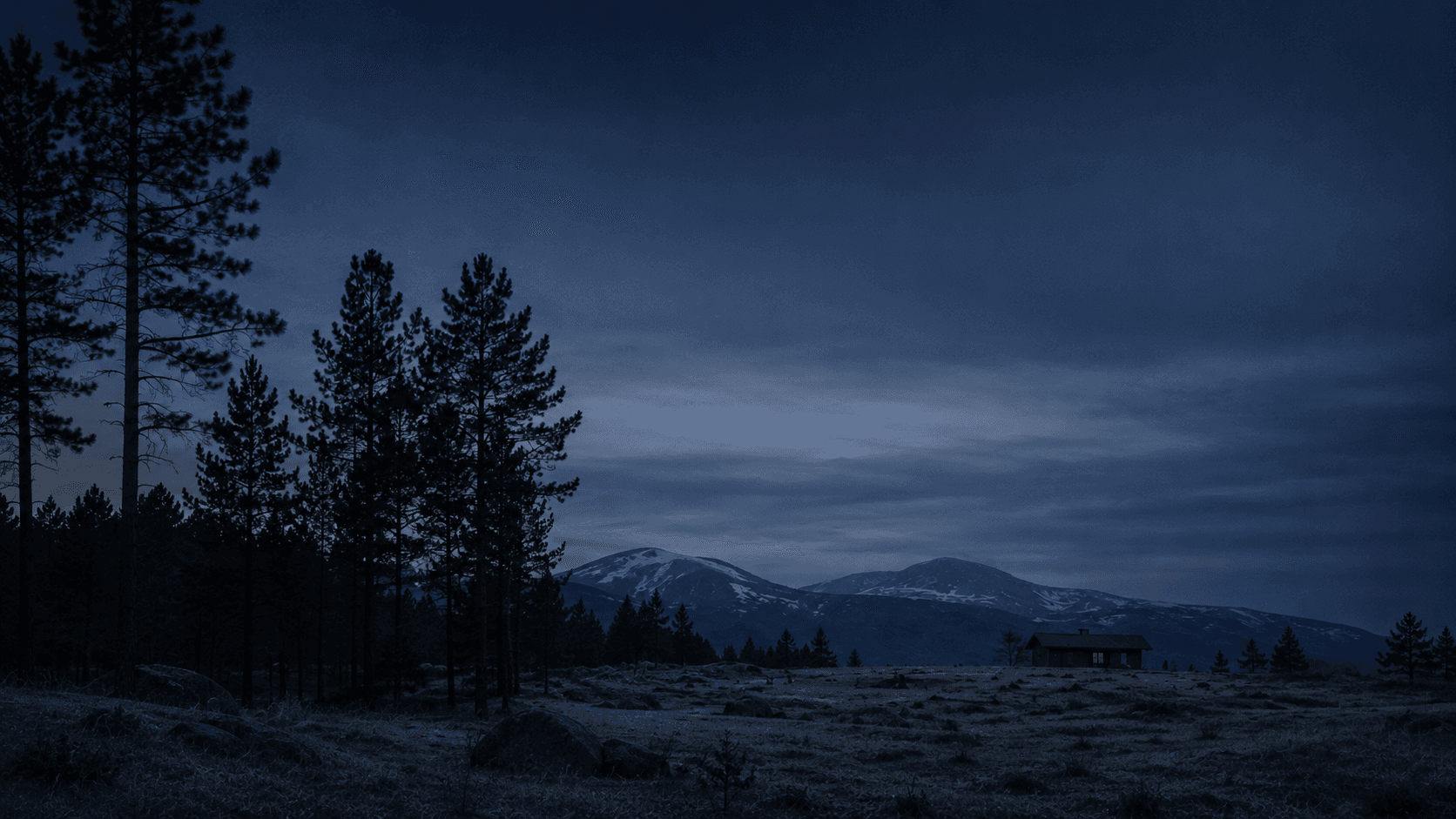 Blue-hour Colorado foothills — pines in silhouette, a quiet meadow, the suggestion of architecture in the far distance.